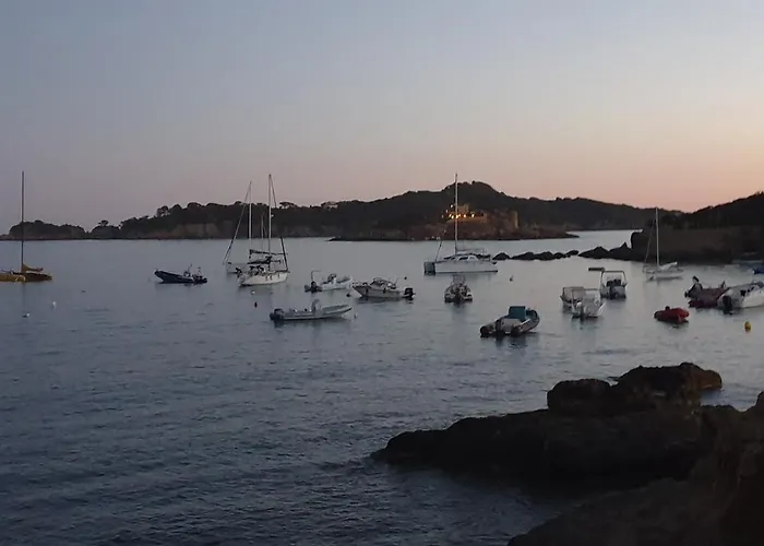 Lejlighed Presqu'ile De Giens, Maison Rdc Avec Acces Et Jardin Prives Sans Vis-a-vis, Piscine, Plages A 2 Min A Pieds *