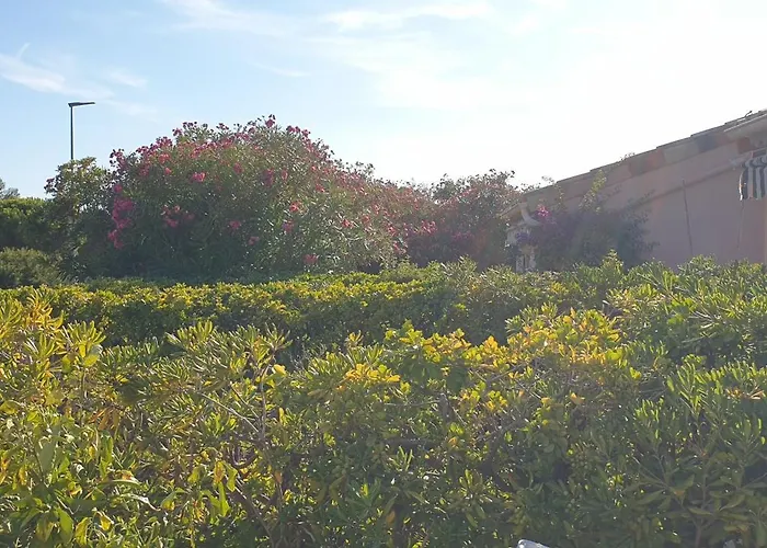 Presqu'ile De Giens, Maison Rdc Avec Acces Et Jardin Prives Sans Vis-a-vis, Piscine, Plages A 2 Min A Pieds *
