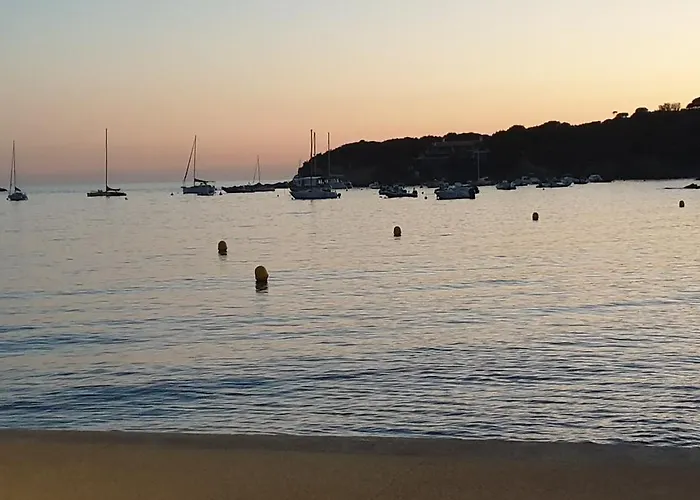 Lejlighed Presqu'ile De Giens, Maison Rdc Avec Acces Et Jardin Prives Sans Vis-a-vis, Piscine, Plages A 2 Min A Pieds