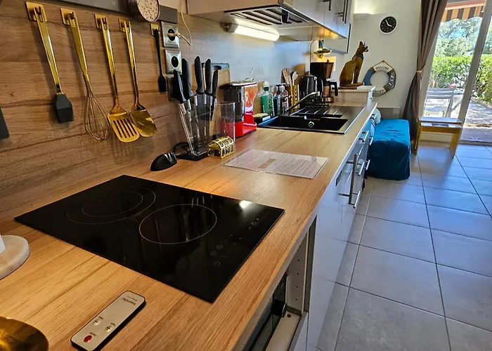 Lejlighed Presqu'ile De Giens, Maison Rdc Avec Acces Et Jardin Prives Sans Vis-a-vis, Piscine, Plages A 2 Min A Pieds Hyères