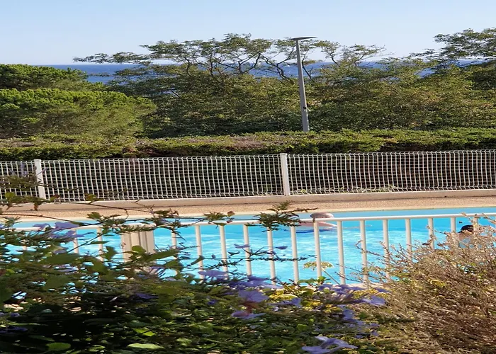 Presqu'ile De Giens, Maison Rdc Avec Acces Et Jardin Prives Sans Vis-a-vis, Piscine, Plages A 2 Min A Pieds Lejlighed