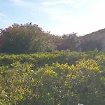 Presqu'ile De Giens, Maison Rdc Avec Accès Et Jardin Privés Sans Vis-à-vis, Piscine, Plages à 2 Min à Pieds *