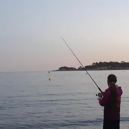 Presqu'ile De Giens, Maison Rdc Avec Acces Et Jardin Prives Sans Vis-a-vis, Piscine, Plages A 2 Min A Pieds Hyères