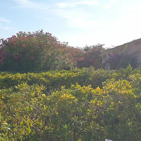 Presqu'ile De Giens, Maison Rdc Avec Acces Et Jardin Prives Sans Vis-a-vis, Piscine, Plages A 2 Min A Pieds *
