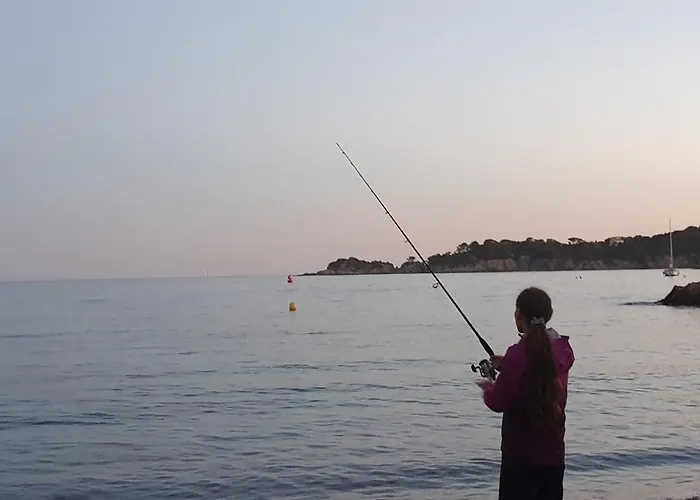 Presqu'ile De Giens, Maison Rdc Avec Acces Et Jardin Prives Sans Vis-a-vis, Piscine, Plages A 2 Min A Pieds Єр